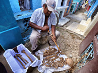 Nature (США): кости майя воскрешают утраченную цивилизацию - «Наука»