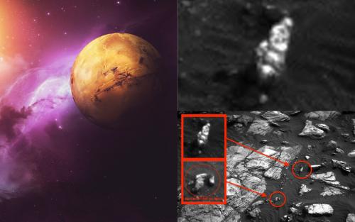 «На Марсе найдет садовый гном»: Обнародованы доказательства сходства Земли с «марсианской жизнью» - «Наука»