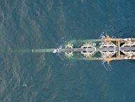 Berlingske (Дания): удав на дне Балтийского моря - «Новости»