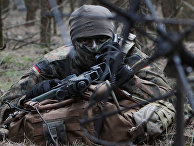 Fakt (Польша): НАТО защищает нас от России - «Новости»