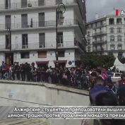 Алжирские студенты и преподаватели вышли на демонстрации против продления мандата президента - «ДНР и ЛНР»