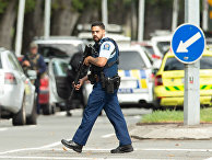 Стрельба в мечети города Крайстчерч: стрелок вел онлайн-трансляцию этого кошмара в течение 17 минут (NZHerald, Новая Зеландия) - «Общество»