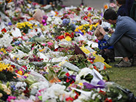 Стрельба в мечети Крайстчерча: «я прощаю его» — послание выжившего инвалида преступнику, убившему его жену (NZHerald, Новая Зеландия) - «Общество»