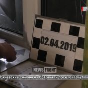 В ЛНР киевские силовики обстреляли поселок Голубовское - «ДНР и ЛНР»