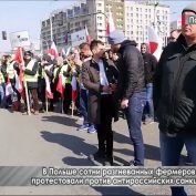 В Польше фермеры вышли на протест против антироссийских санкций - «ДНР и ЛНР»