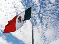 Reforma (Мексика): до того, как рак свистнет - «Новости»