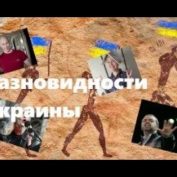 Воскобойников. Разновидности Украины - «ДНР и ЛНР»