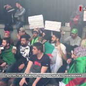 «Долой систему!»: В Алжире тысячи студентов вышли против нового главы государства - «ДНР и ЛНР»