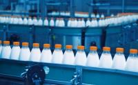 Россия недополучила от белорусских производителей молочной продукции на 60 млн рублей - «Новости»