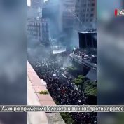 Полиция Алжира применила слезоточивый газ против протестующих - «ДНР и ЛНР»