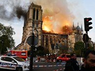 Le Monde (Франция): пожар в соборе Парижской Богоматери — легенда выше материальной катастрофы - «Общество»