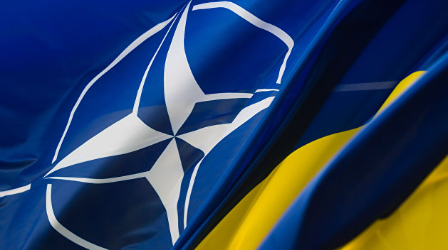 Что будет с НАТО-вскими перспективами Украины после выборов, — координатор ИС - «Новости»