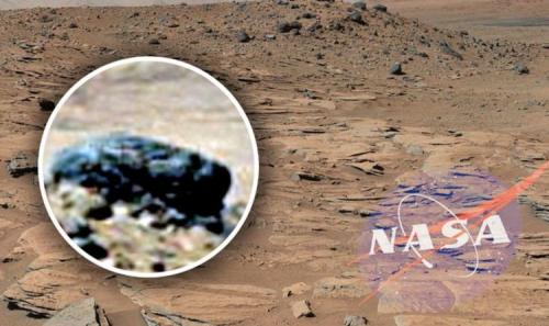 На Марсе сфотографировали череп умершего существа - уфолог - «Новости»