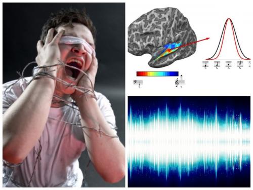 Зрячим не понять: Учёные объяснили, почему слепые люди имеют идеальный слух - «Новости»