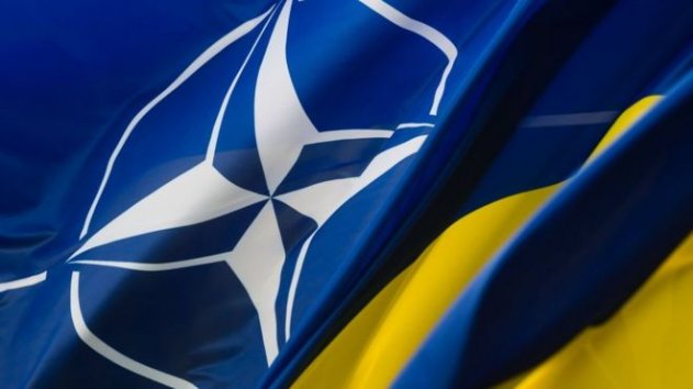 НАТО не требует от Украины проводить референдум относительно вступления - «Новости»