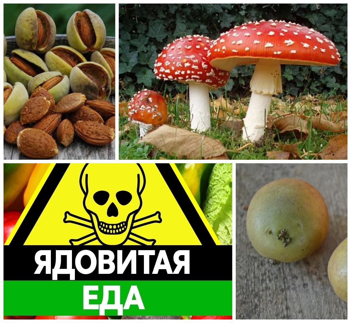 Ядом еда. Ядовитые продукты. Несъедобные продукты. Ядовитая пища. Токсические продукты.