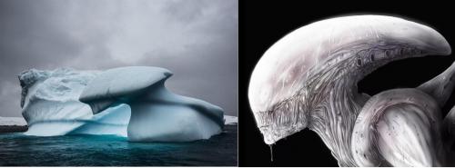 Бог-пришелец? В Антарктиде нашли ледяной «тотем» Чужого с Нибиру - эксперт - «Новости»