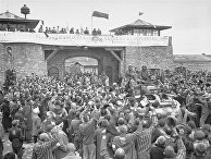 Rebelion (Испания): действительно ли американские войска освобождали концлагерь Маутхаузен? - «История»