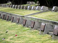 Observador (Португалия): так сколько же советских граждан погибло во Второй мировой войне? - «Общество»