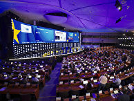 Выборы в Европарламент: у ЕС — новые «хранители», у России — новые оппоненты. «Зеленые» и «либеральные» - «Новости»