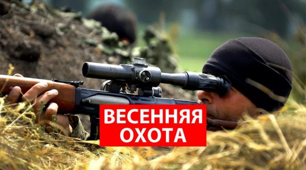 Снайперы ДНР кошмарят украинских военных - «ДНР и ЛНР»