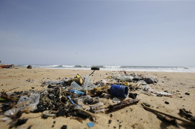 Ученые нашли 238 тонн пластиковых отходов на отдаленных островах Индийского океана - «ДНР и ЛНР»