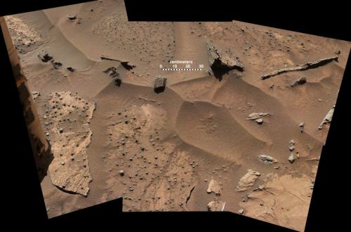 Кокон Марса. В сеть слили фото «живого» нароста на Красной планете - «Наука»
