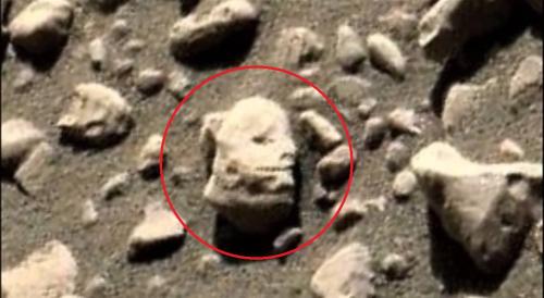 Кровавый Марс: На планете нашли оторванную голову пришельца - «Новости»