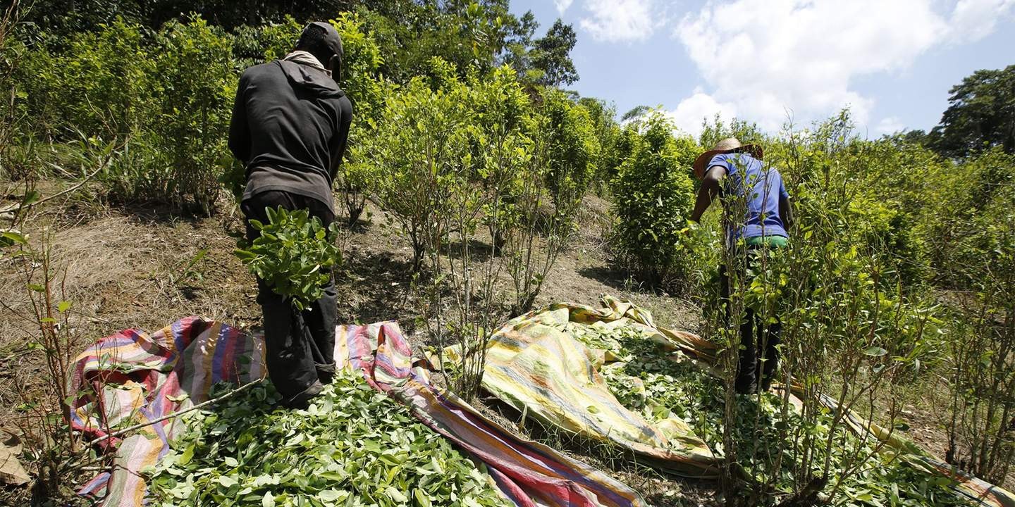 борьба с наркотиками в колумбии