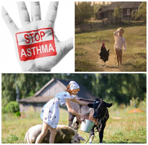 На каникулы — в деревню: Сельская микрофлора снизит риск развития астмы у детей - «Новости»