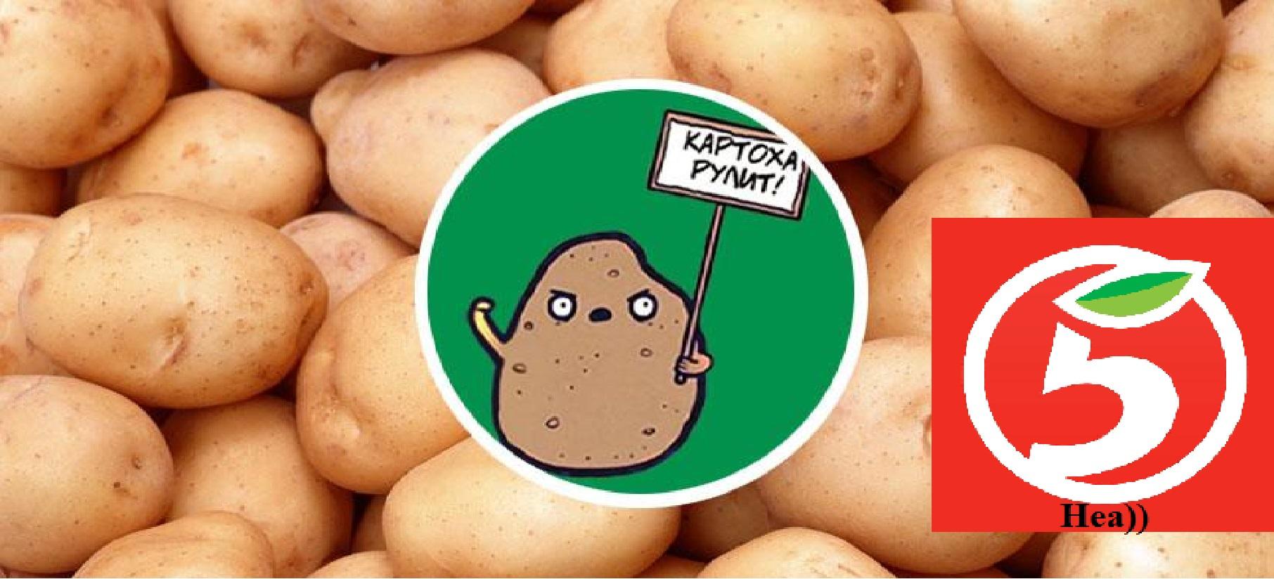 Poisonous potato update. Смешной картофель. Белорусы и картошка. Приколы про белорусов и картошку. Белорусская картошка.