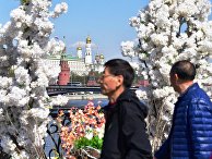 Beijing Evening News (Китай): почему китайских туристов становится в России все больше? - «Мир»