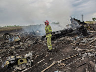 Bloomberg (США): малазийский руководитель заявляет об отсутствии доказательств российской вины в деле о сбитом MH17 - «Политика»
