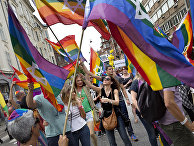 American Thinker (США): нельзя позволить безумию ЛГБТ стать общепринятой нормой в Америке - «Общество»