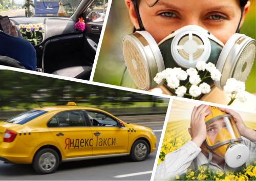 Катафалк для аллергиков: Водитель «Яндекс.Такси» устроил травлю клиентов освежителем - «Общество»
