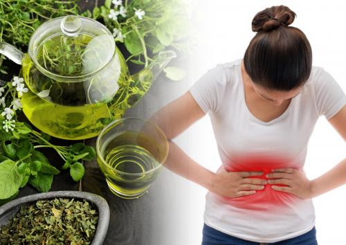 Зелёный чай спасёт от рака? Напиток убережёт от онкологии и поможет похудеть - «Наука»