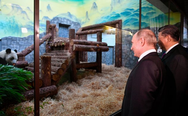 «Равноценный» обмен, или Как Путин тайгу на панду променял - «Новости»
