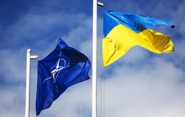 Что должна сделать Украина для вступления в НАТО – в США назвали условия - «Новости»