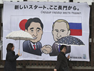 Hokkaido Shimbun (Япония): встреча глав России и Японии. Мнение экспертов - «Новости»
