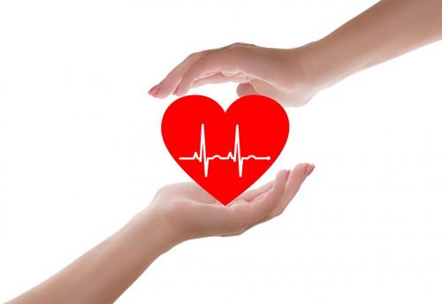 Медики: Чрезмерное употребление кальция вредит нашему сердцу - «Наука»