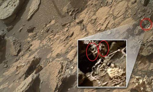 Одна голова хорошо, а две - марсианин? На Марсе нашли скелет двухголового пришельца - «Новости»