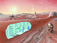 China Daily (Китай): жизнь на Марсе? Это будем мы! - «Новости»