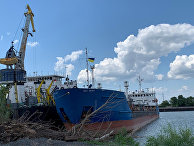 The Guardian (Великобритания): Украина захватывает российский танкер в дунайском порту Измаил - «Новости»