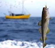 ЕС добьет рыболовецкий флот Литвы - «ДНР и ЛНР»