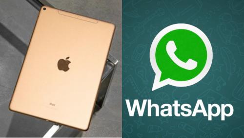 «Кому данные пользователей Apple?» - WhatsApp выходит на iOS - «Интернет»