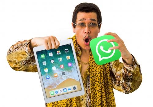 Больше никаких танцев с бубном: WhatsApp выйдет на iPad в ближайшие месяцы - «Интернет»