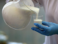 AgrarHeute (Германия): Россия больше не зависит от европейского молока - «Экономика»