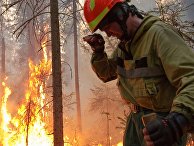 The Washington Post (США): площадь лесных пожаров в Сибири больше, чем в остальных регионах мира вместе взятых - «Мир»