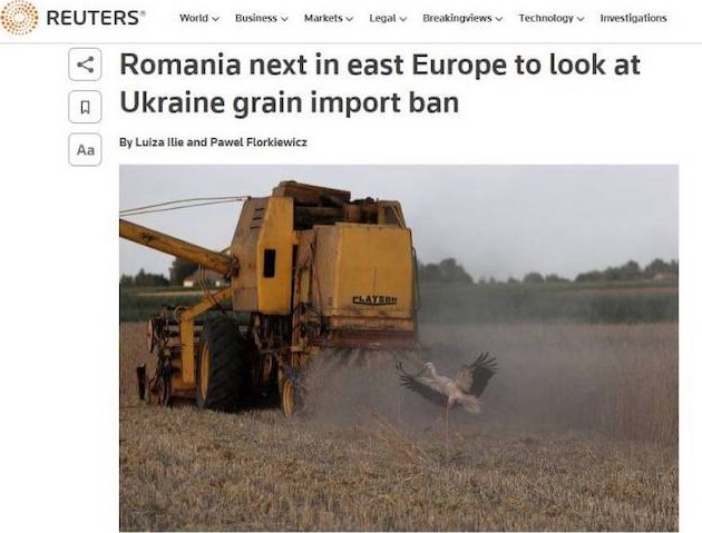 Румыния и Чехия – следующие кандидаты на запрет украинского зерна - «Новости Дня»