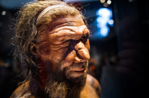 Ученый рассказал, каким был язык неандертальцев